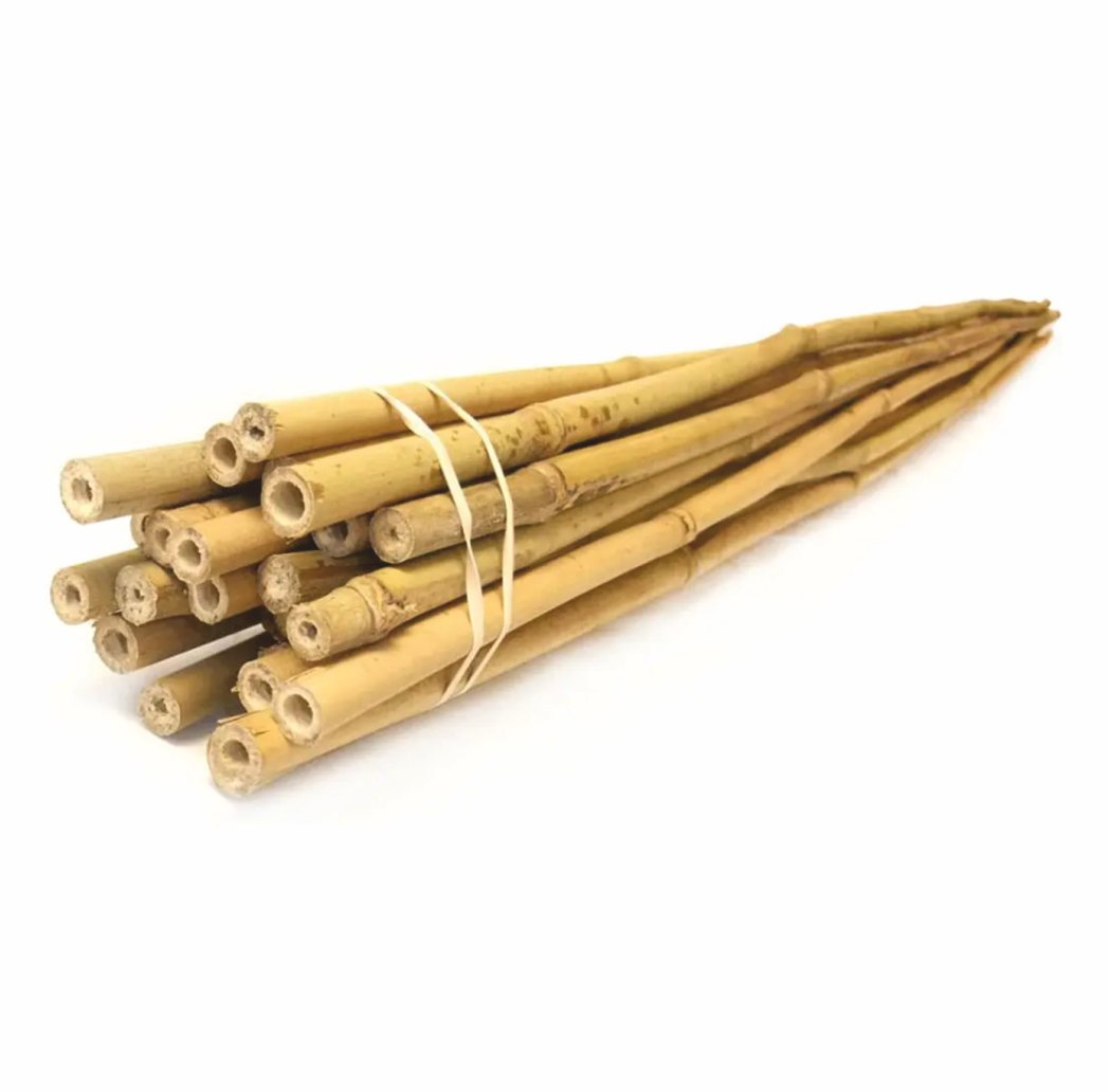 Бамбуковый ствол | 5,5 м